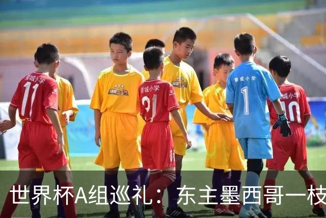 世界杯A组巡礼：东主墨西哥一枝独秀 韩国有望突破历史