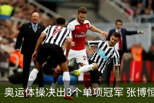 奥运体操决出3个单项冠军 张博恒自由操排名第八