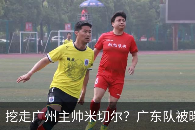 挖走广州主帅米切尔？广东队被曝欲签约外教，朱芳雨将签回徐昕！