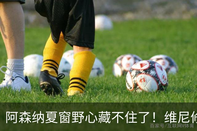 阿森纳夏窗野心藏不住了！维尼修斯阿尔瓦雷斯谁才是真目标？欧冠决赛虽然倒在点球，但阿森纳这个夏天显然没有“躺平”的意思