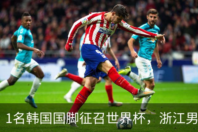 1名韩国国脚征召世界杯，浙江男足能够获得多少补偿？数字惊人